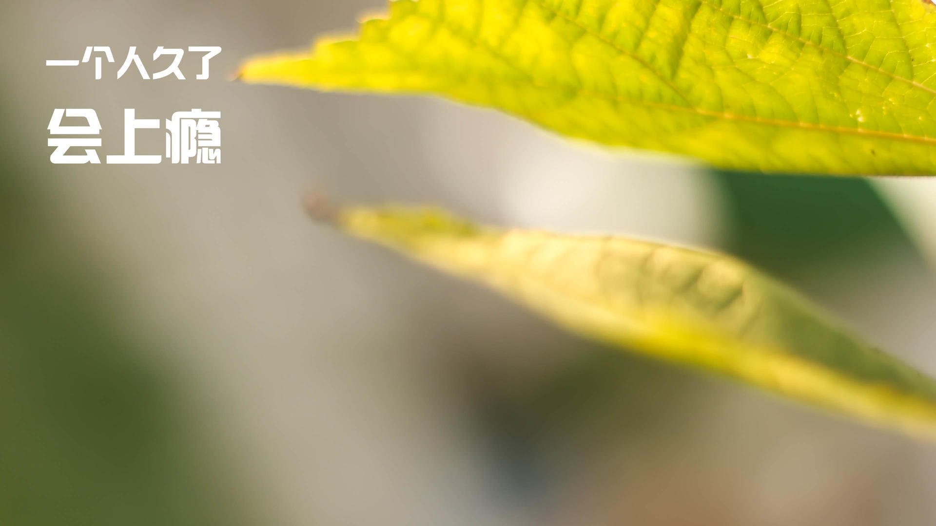 德甲战术深度升级，精彩瞬间不断爆发，德甲德甲