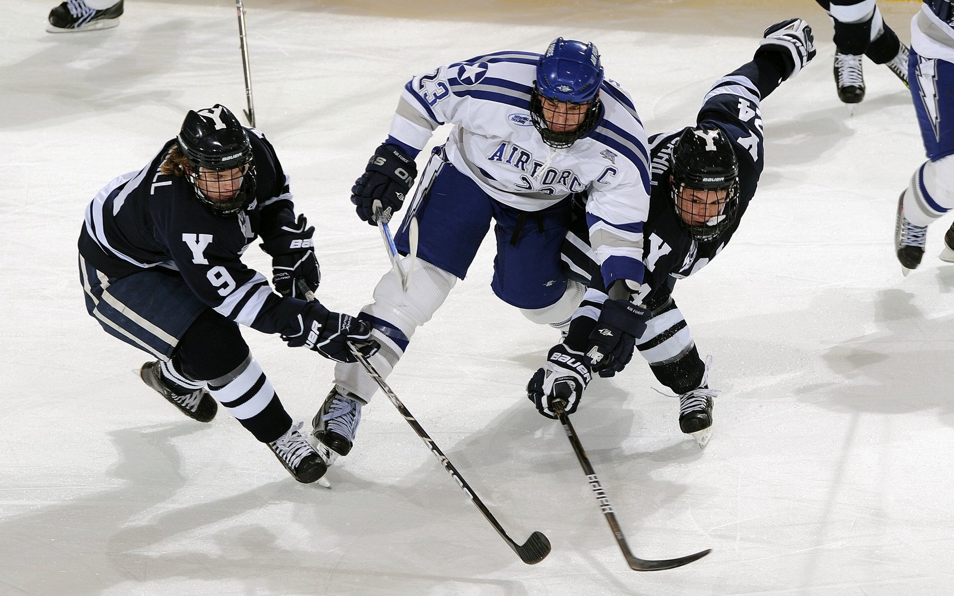 体育中心夜跑活动广受市民欢迎，体育场夜跑