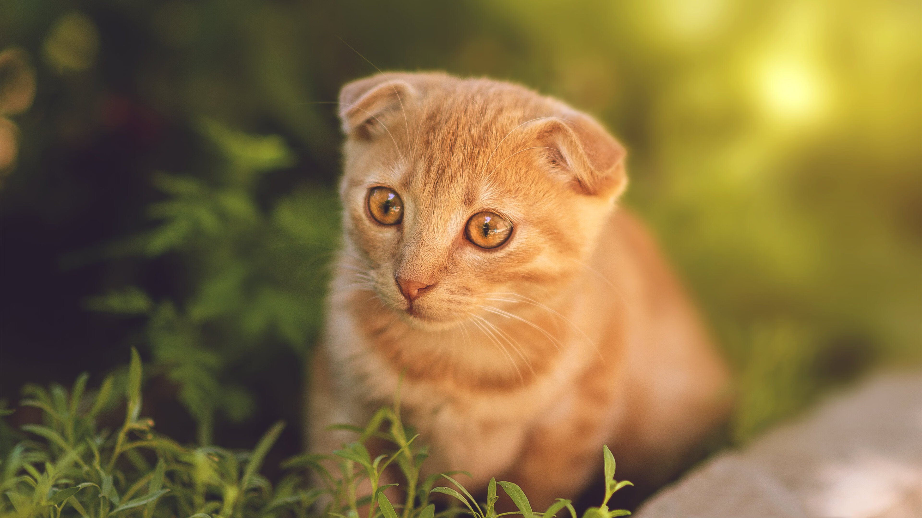 【经典对决】奥沙利文与丁俊晖的巅峰对抗回顾,奥沙利文和丁俊晖哪个厉害